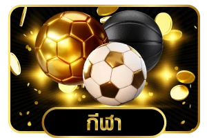 แทงบอลสด P569 ดูผลบอลเรียลไทม์ทุกลีก